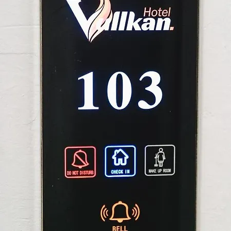 호텔 Vullkan